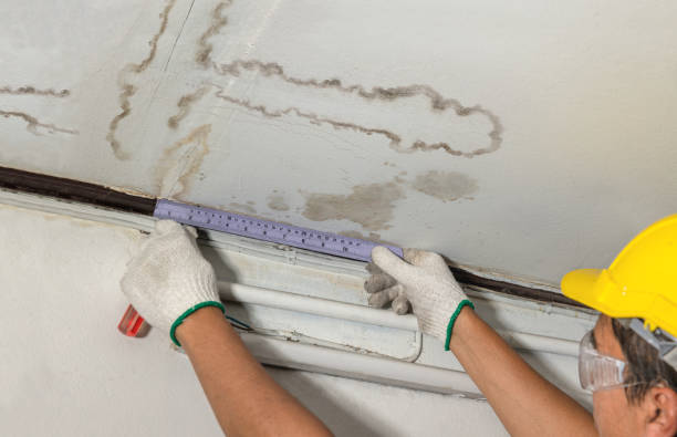 Reliable Mold Remediation contractor in Newburg, WI by Water Damage Irwin